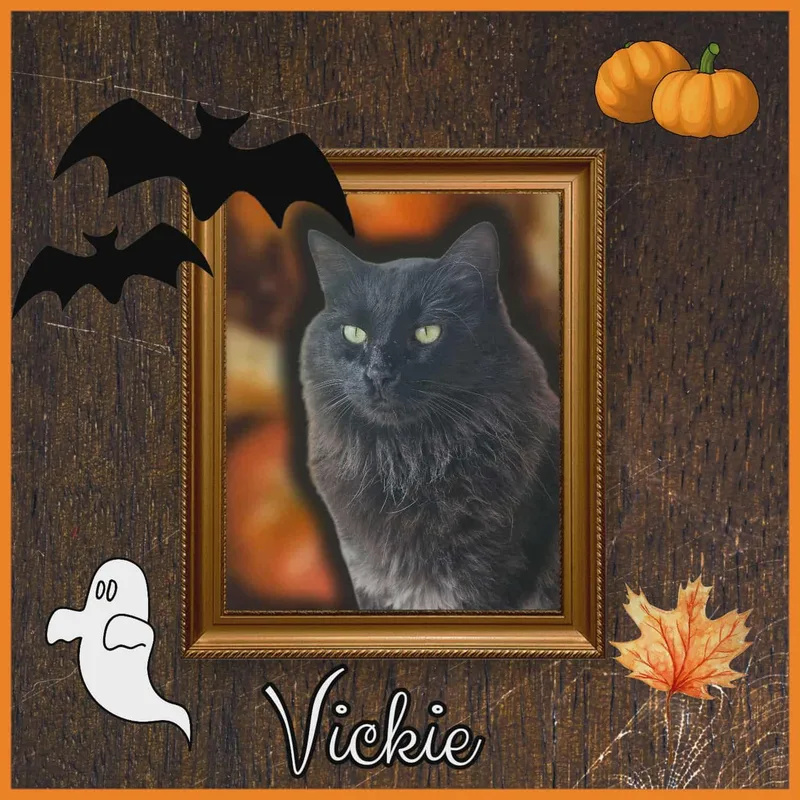 Vickie thumbnail 2