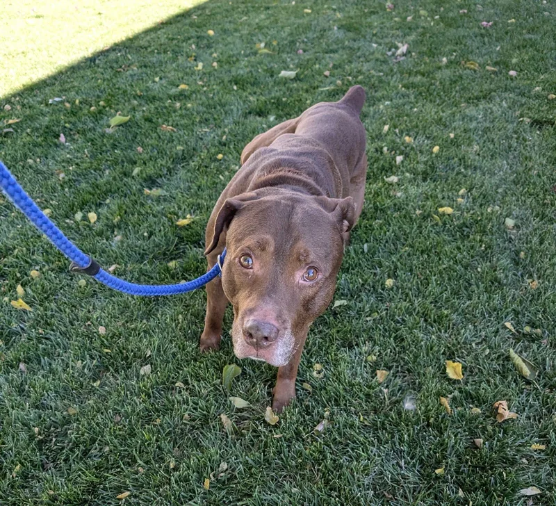 Hercules thumbnail 2