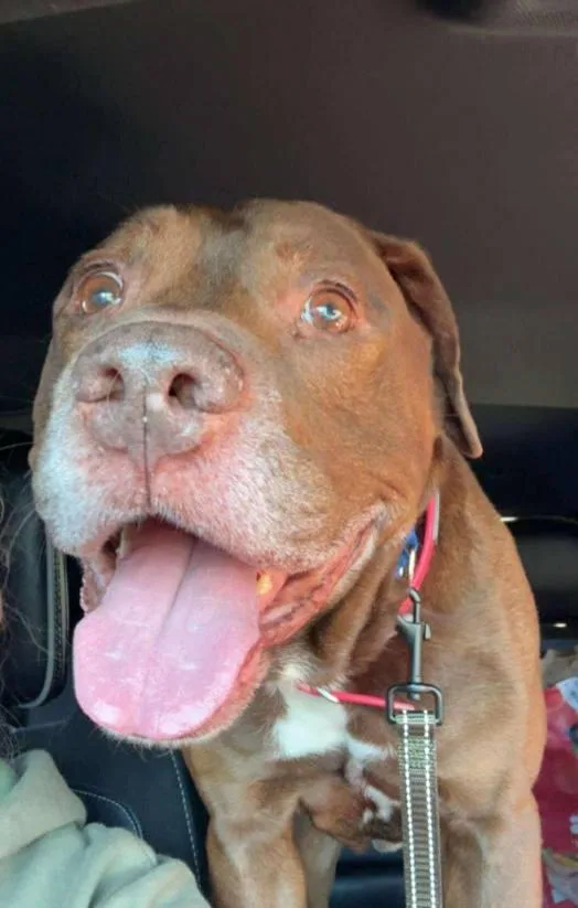 Hercules thumbnail 4