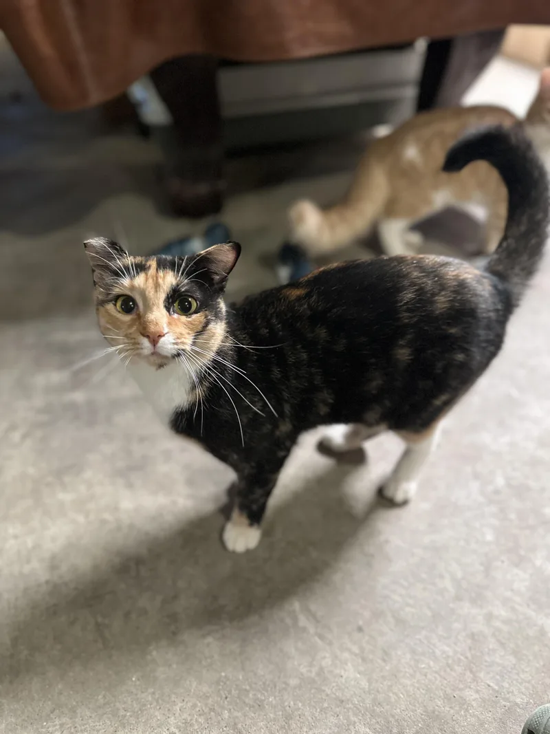 Mariah thumbnail 5