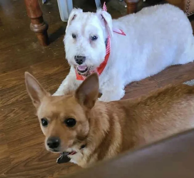 Rose And Jack thumbnail 2