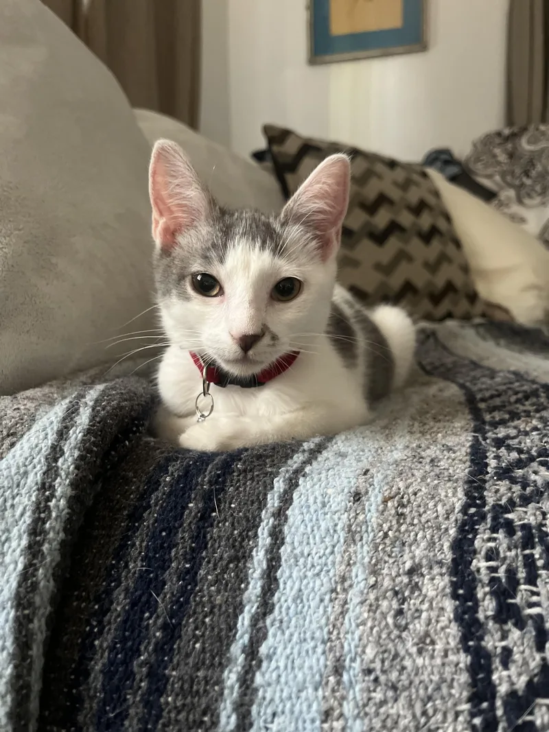 Roxy Girl!!!! thumbnail 2