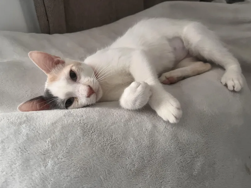 Roxy Girl!!!! thumbnail 4