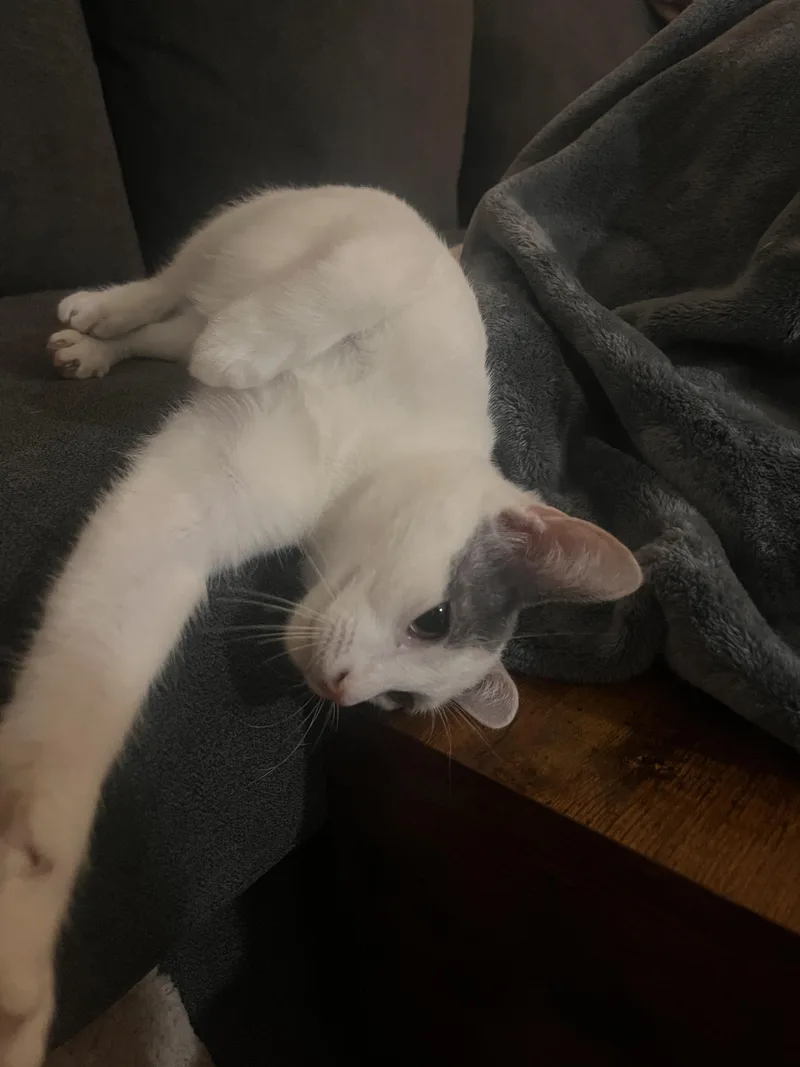 Roxy Girl!!!! thumbnail 5