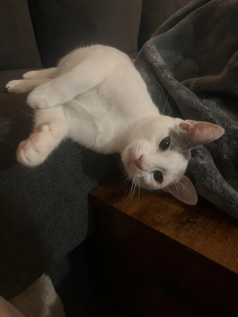 Roxy Girl!!!! thumbnail 6