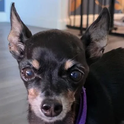 Mama Coco thumbnail 2