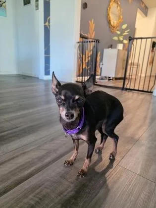 Mama Coco thumbnail 3