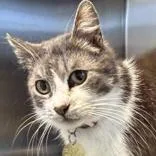 Bernadette thumbnail 2