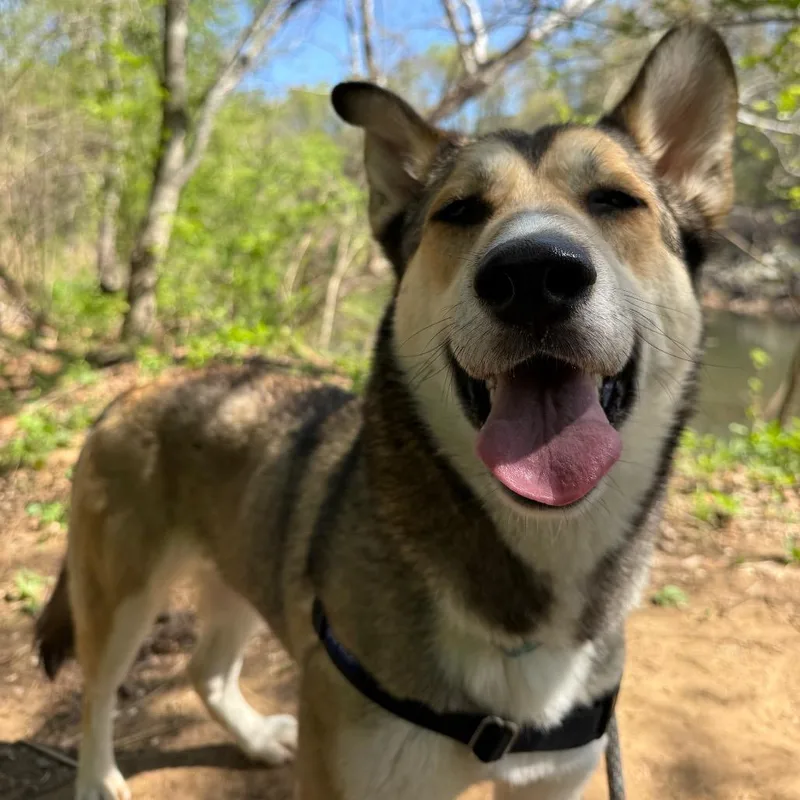 Nora