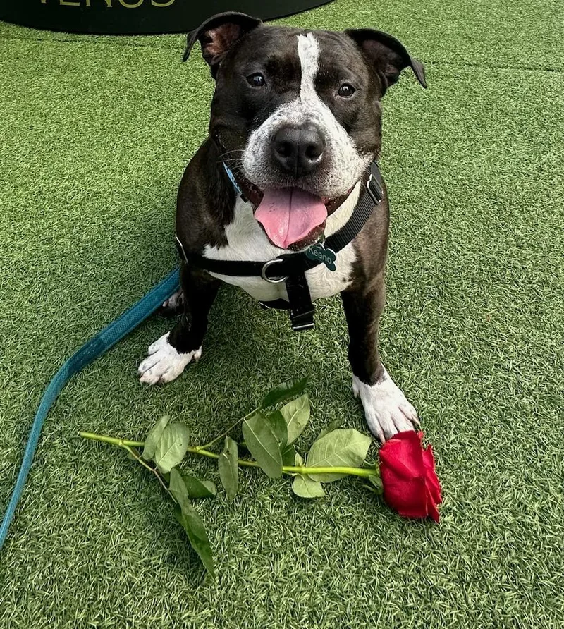 Keeno  Courtesy thumbnail 2