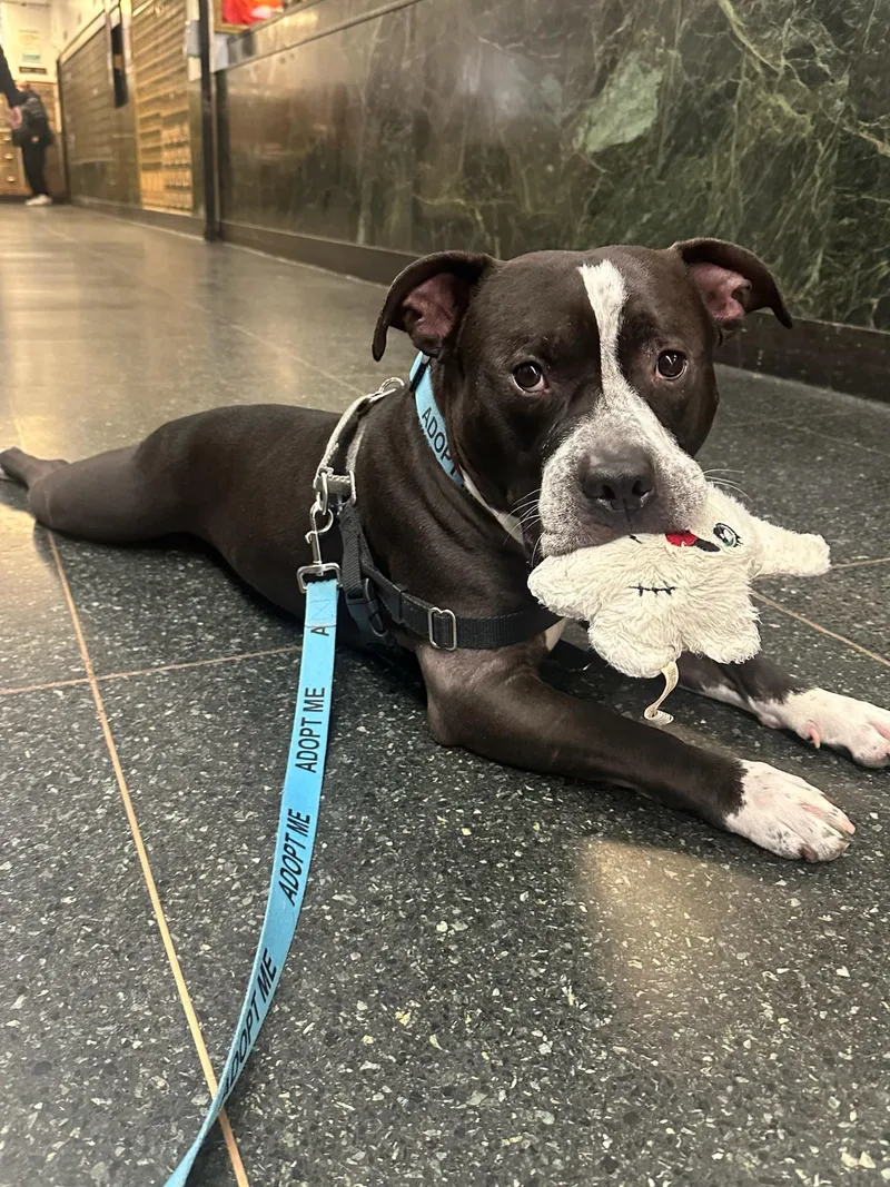 Keeno  Courtesy thumbnail 3