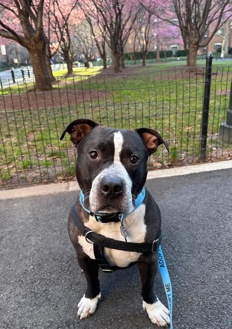 Keeno  Courtesy thumbnail 4