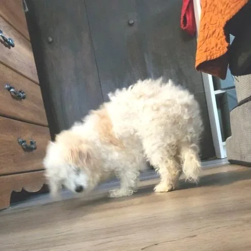 Eliana Gc thumbnail 3