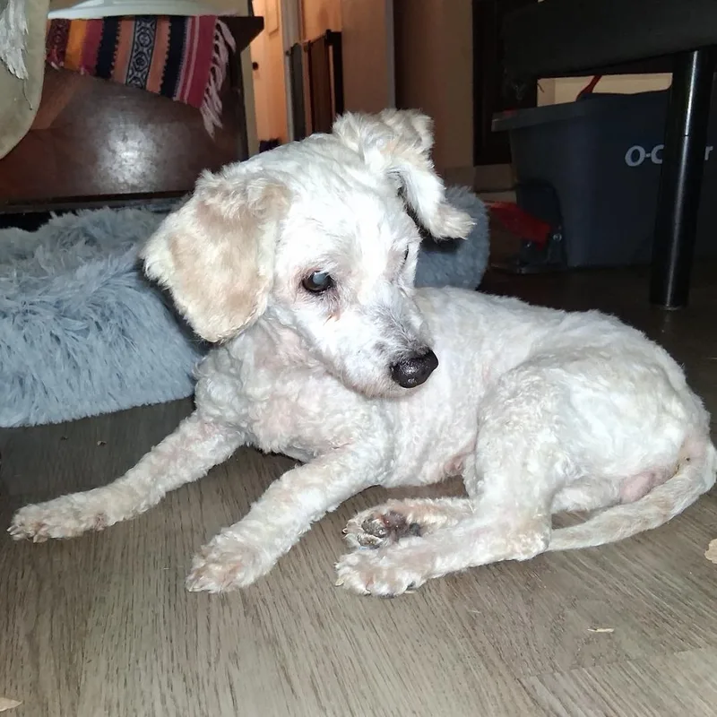 Eliana Gc thumbnail 4