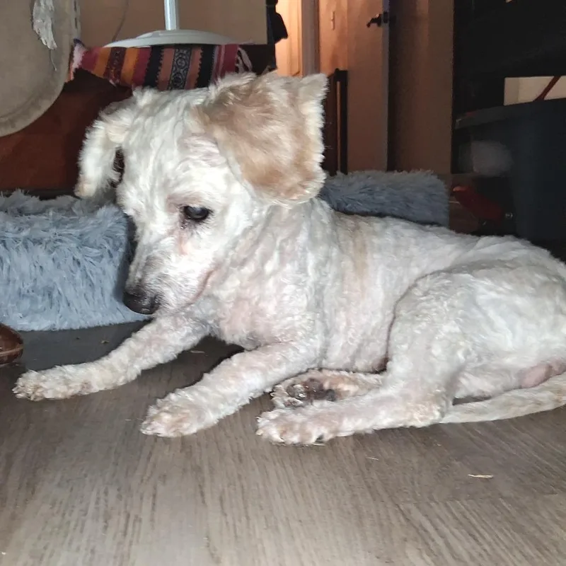 Eliana Gc thumbnail 5