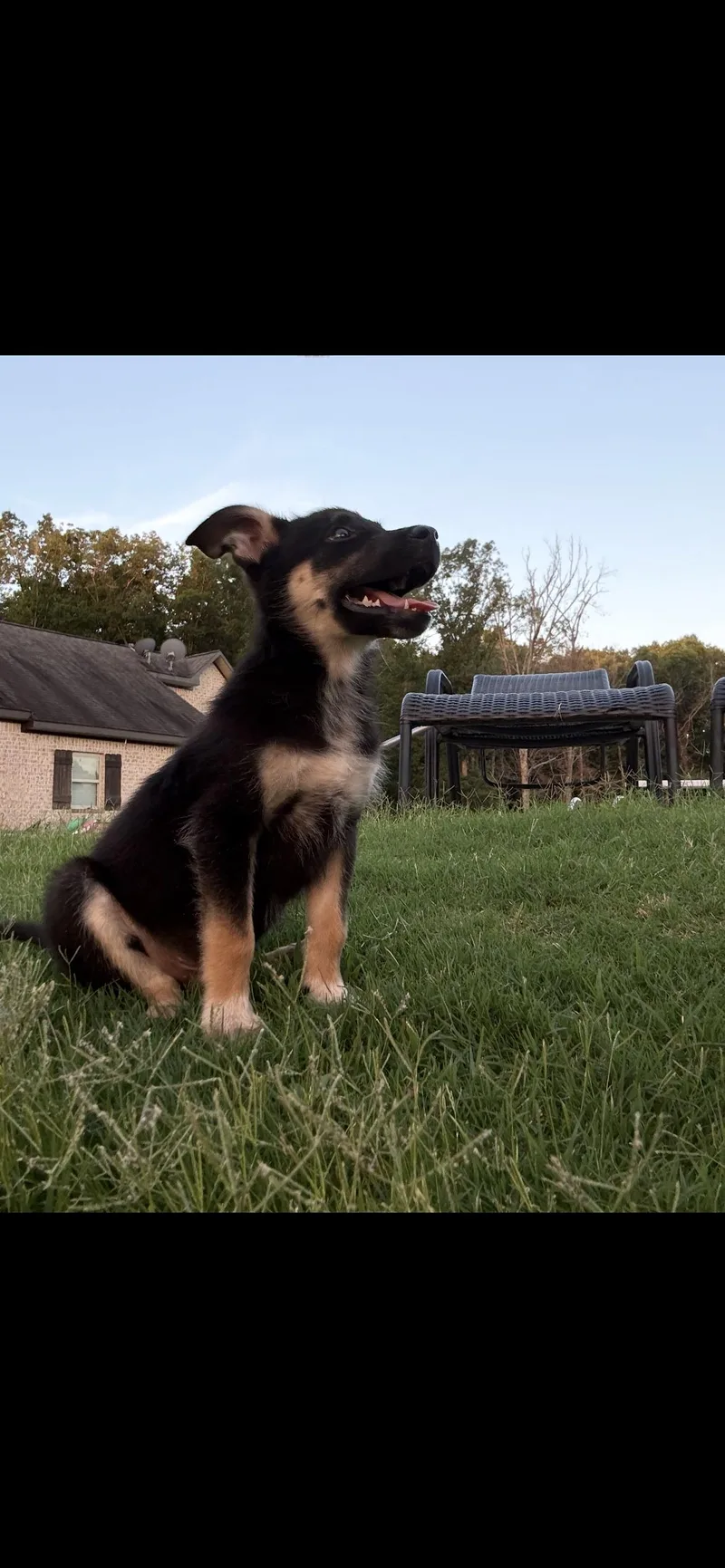 Kipper thumbnail 2