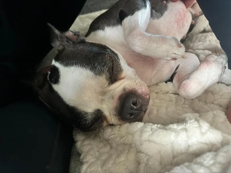 Precious In Co