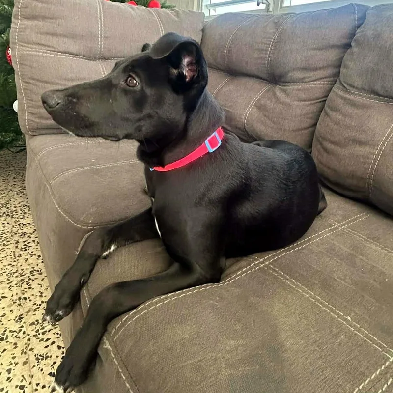 Kira Loira "i Speak thumbnail 3