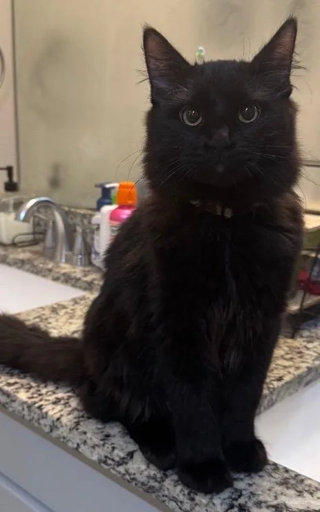 Batmanbinx thumbnail 2