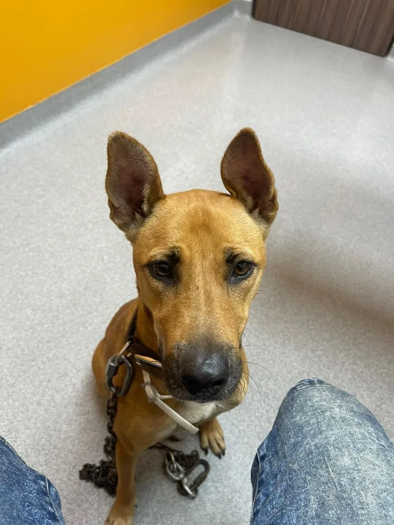 Lily "love And More thumbnail 2