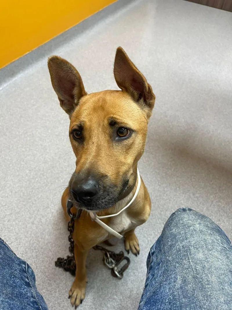 Lily "love And More thumbnail 3