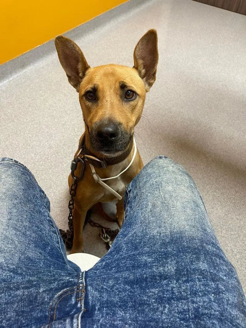 Lily "love And More thumbnail 4