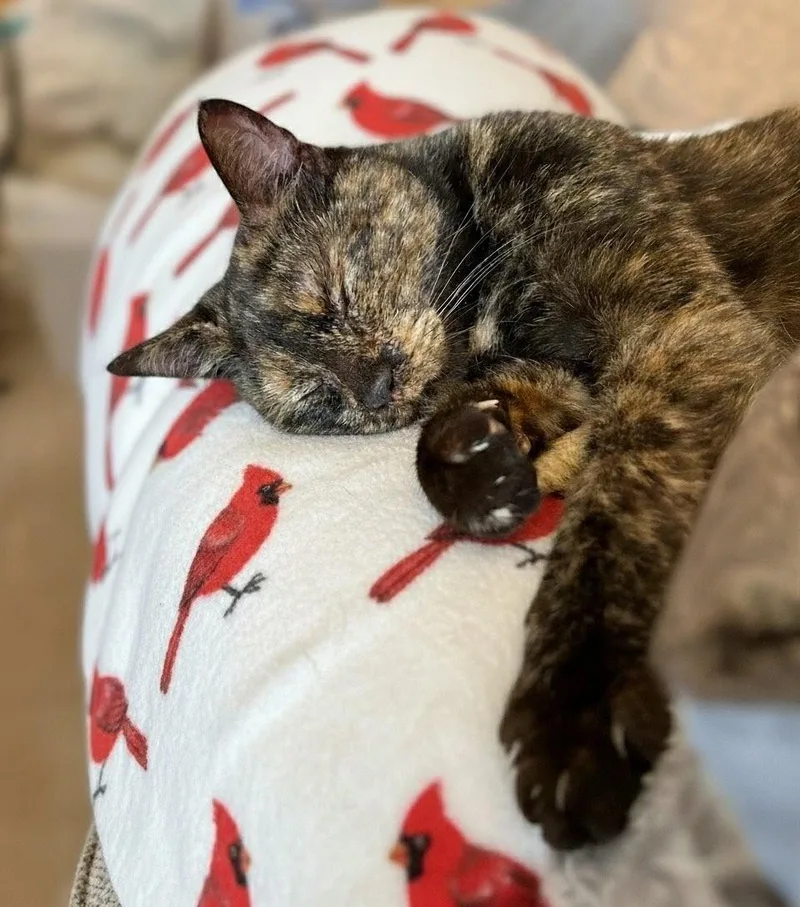 Tess And Zoey thumbnail 3