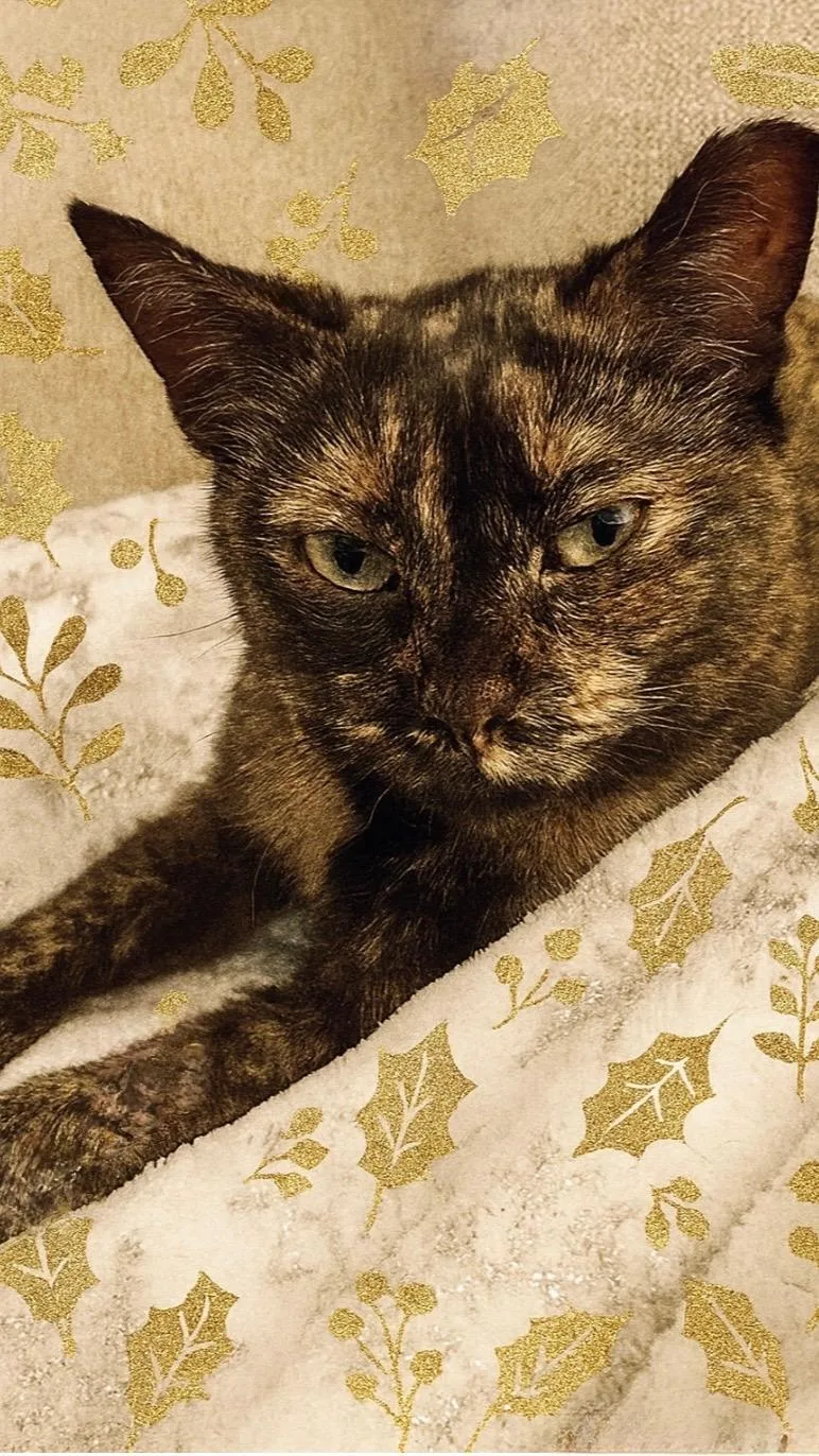 Tess And Zoey thumbnail 4