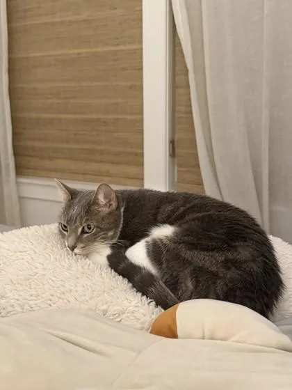 Smokey thumbnail 2