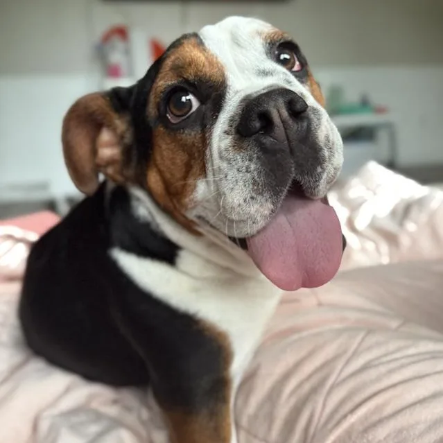 Ginny thumbnail 2