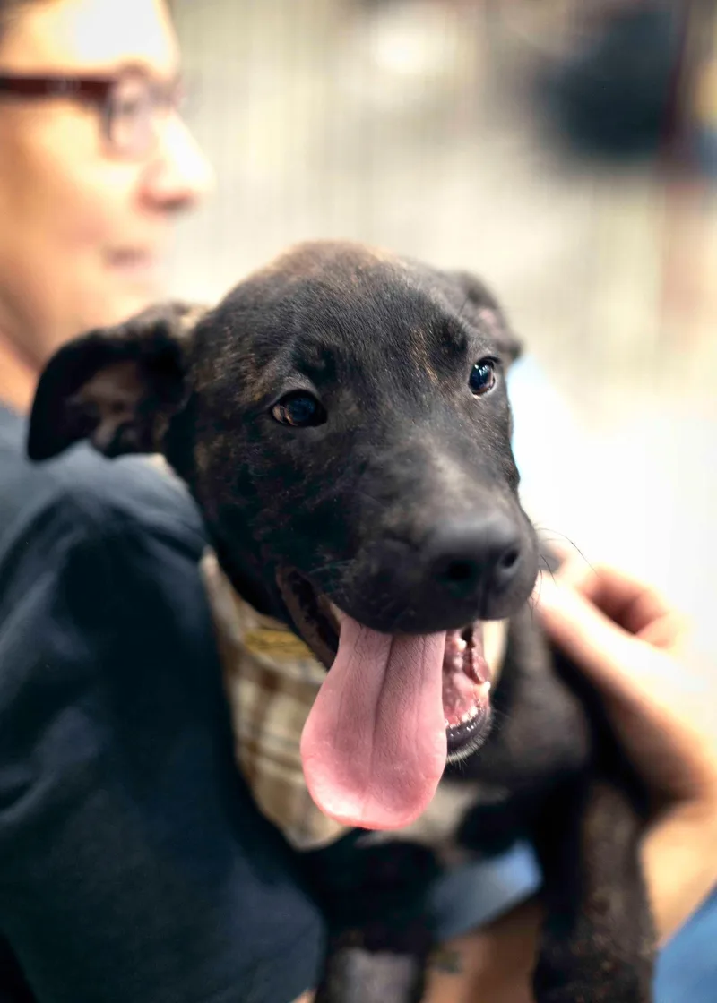 Ocean Spray thumbnail 4