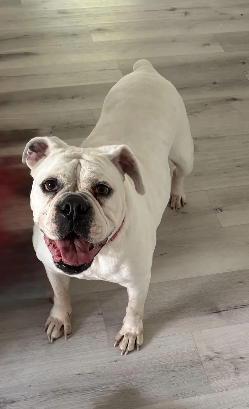 Khloe thumbnail 3