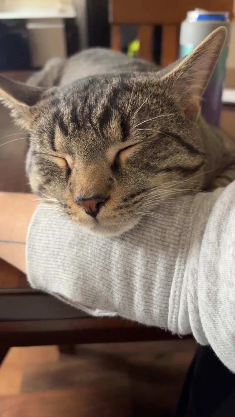 Mr. Peanut Butter thumbnail 2