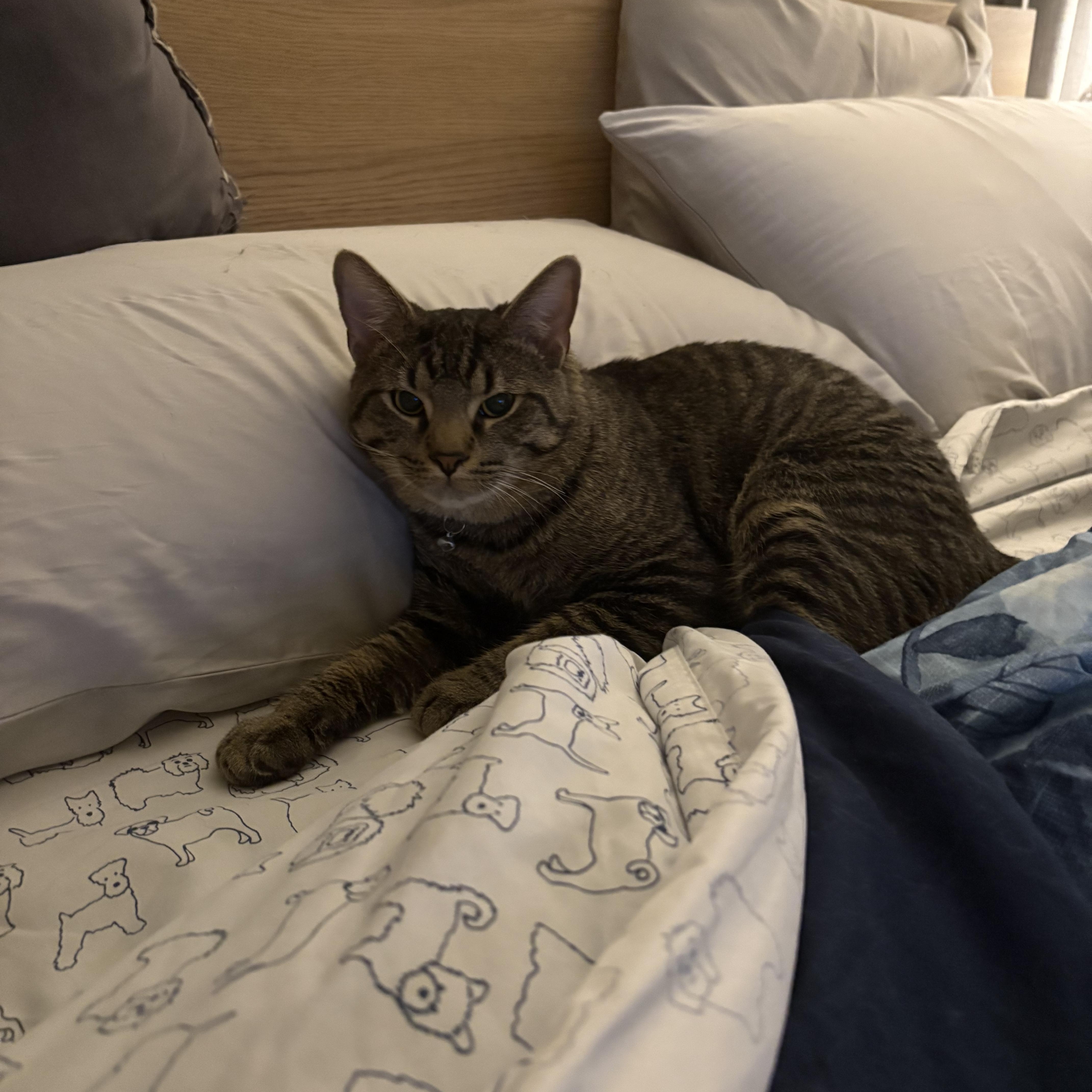 Mr. Peanut Butter thumbnail 3