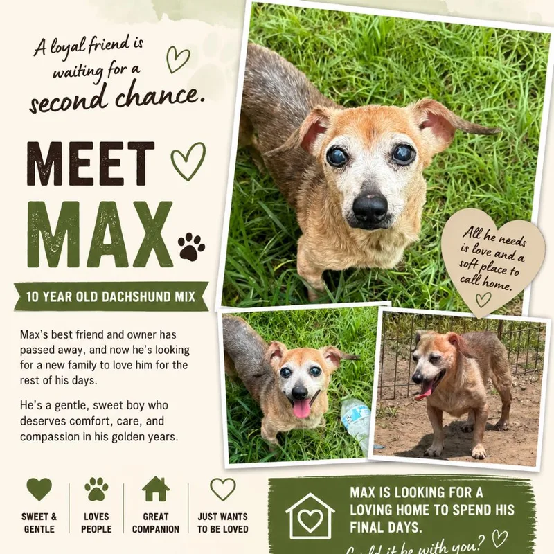 Max