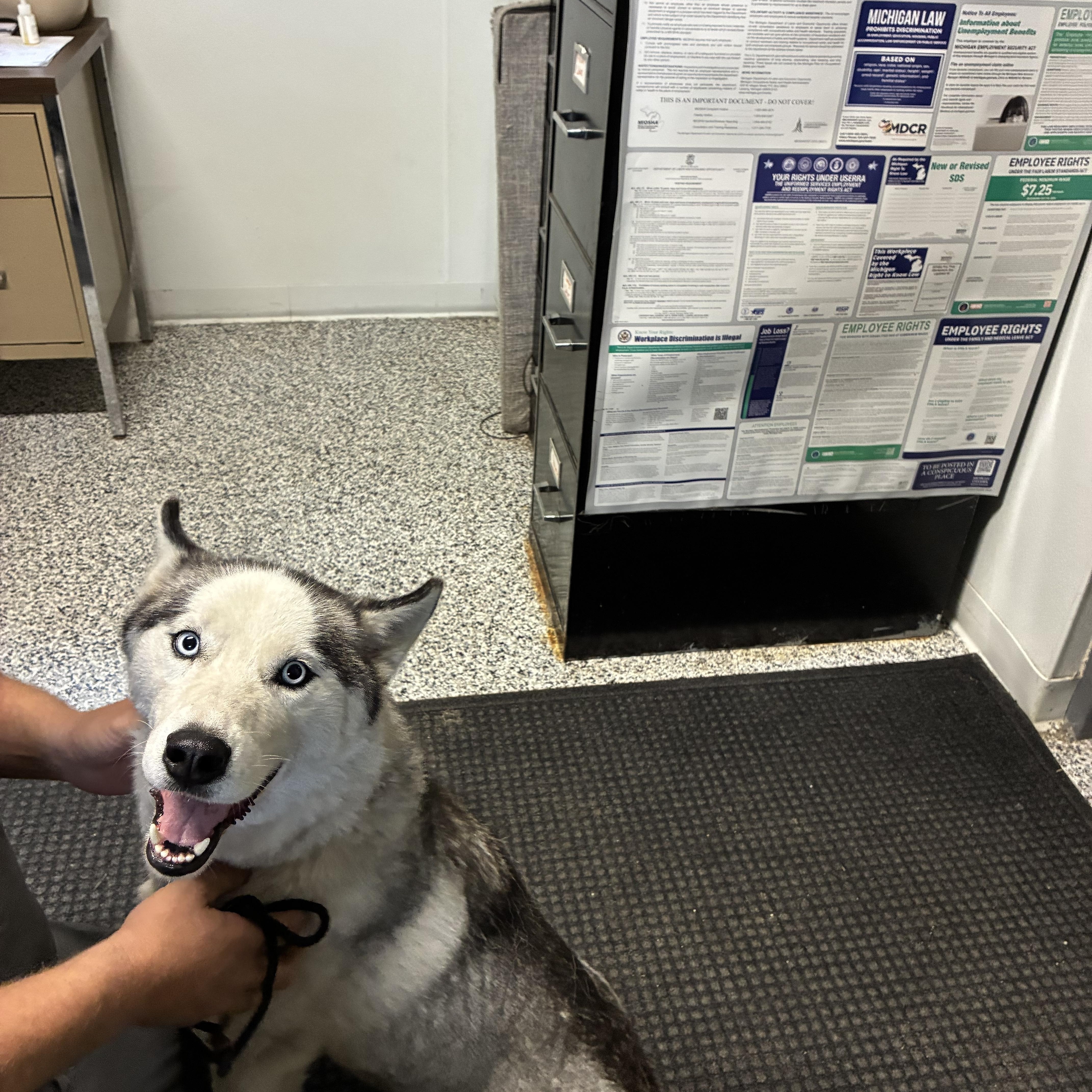 Balto thumbnail 2