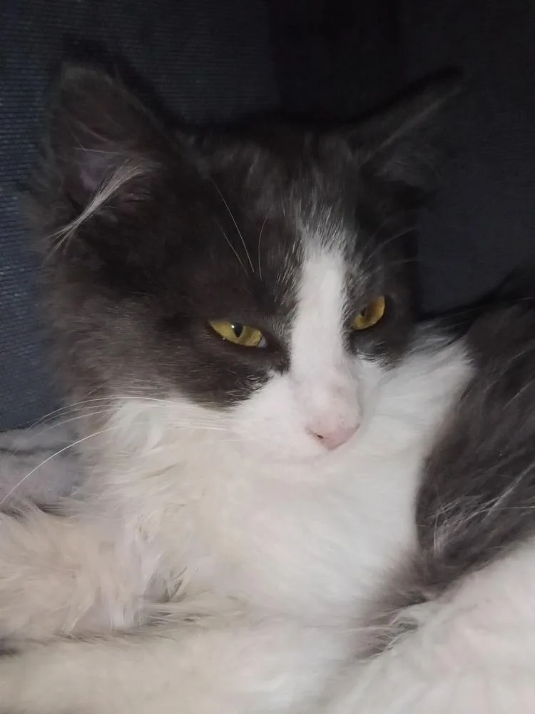 Maths: Hypotenuse Part Of thumbnail 6