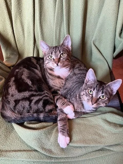 Carmen San Diego And thumbnail 5