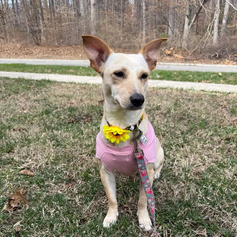 Miss Sasha thumbnail 2