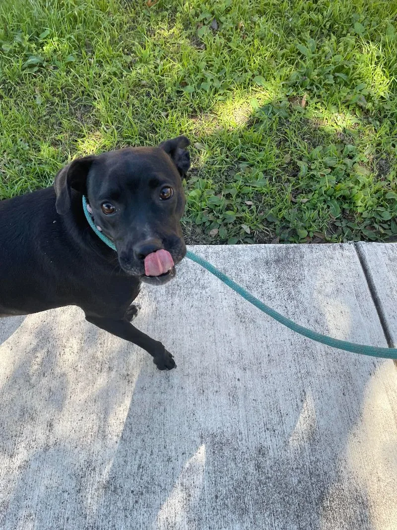 Penelope thumbnail 2