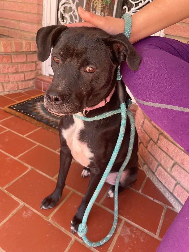 Penelope thumbnail 4