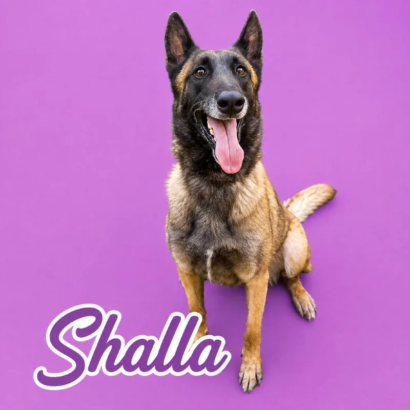 Shalla