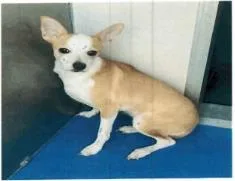 Beverly  A