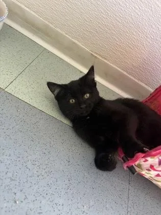 Salem thumbnail 2