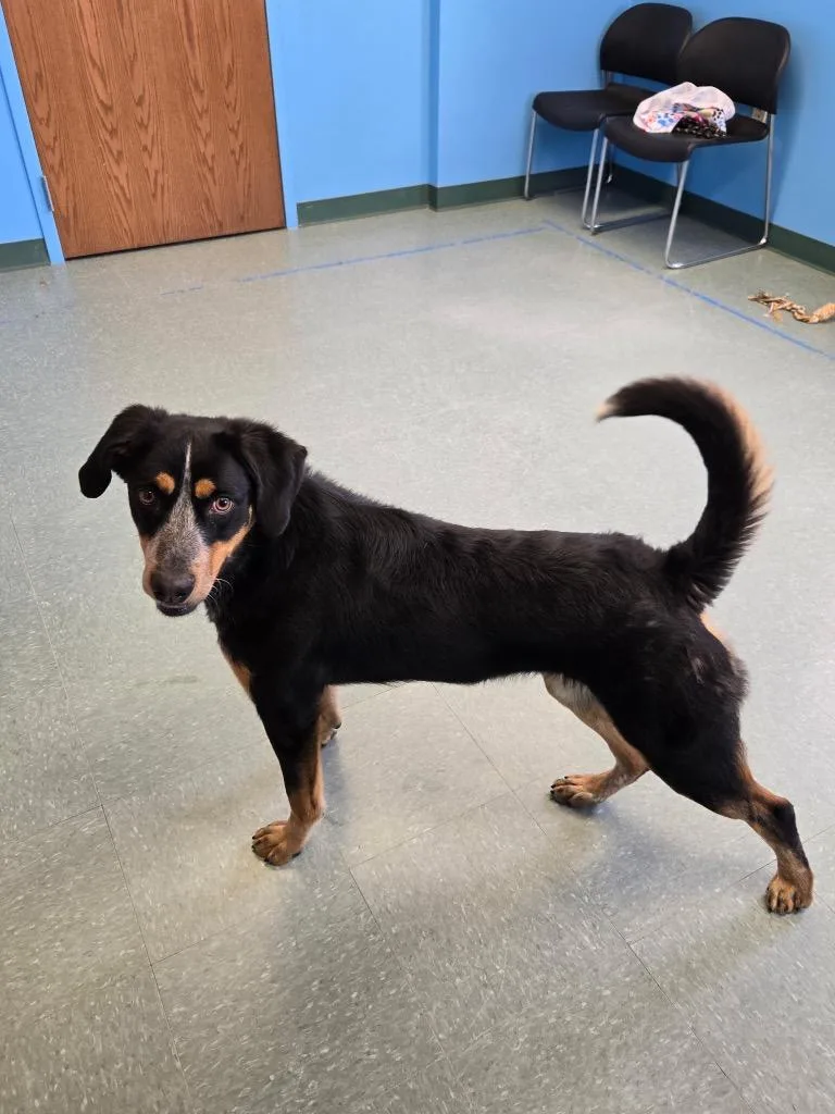 Darla Mae thumbnail 2