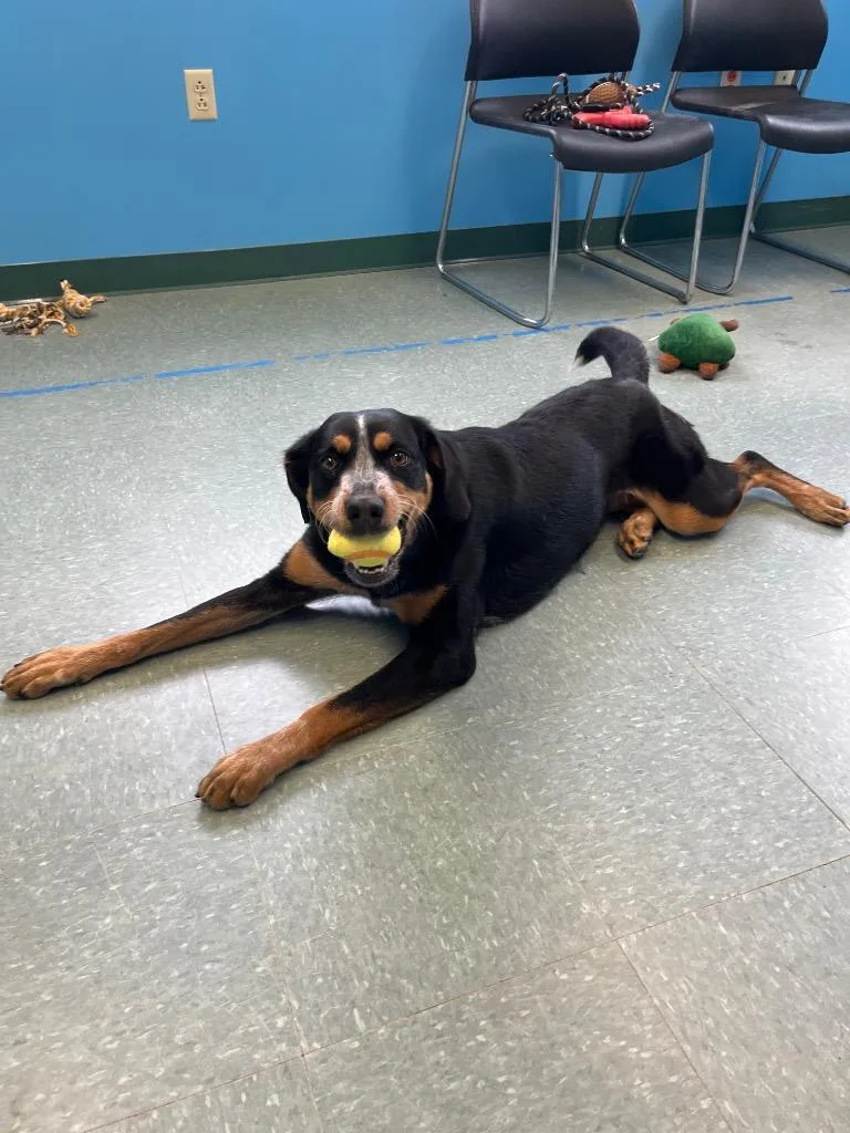 Darla Mae thumbnail 4