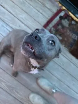 Emmy High energy and thumbnail 2