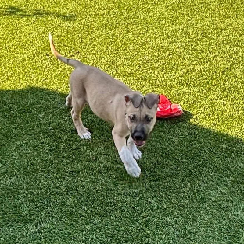 Tucker