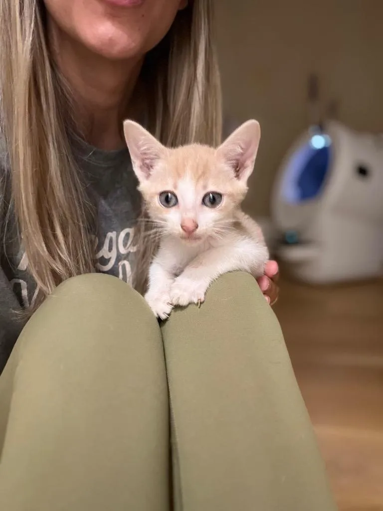 Tucker thumbnail 3