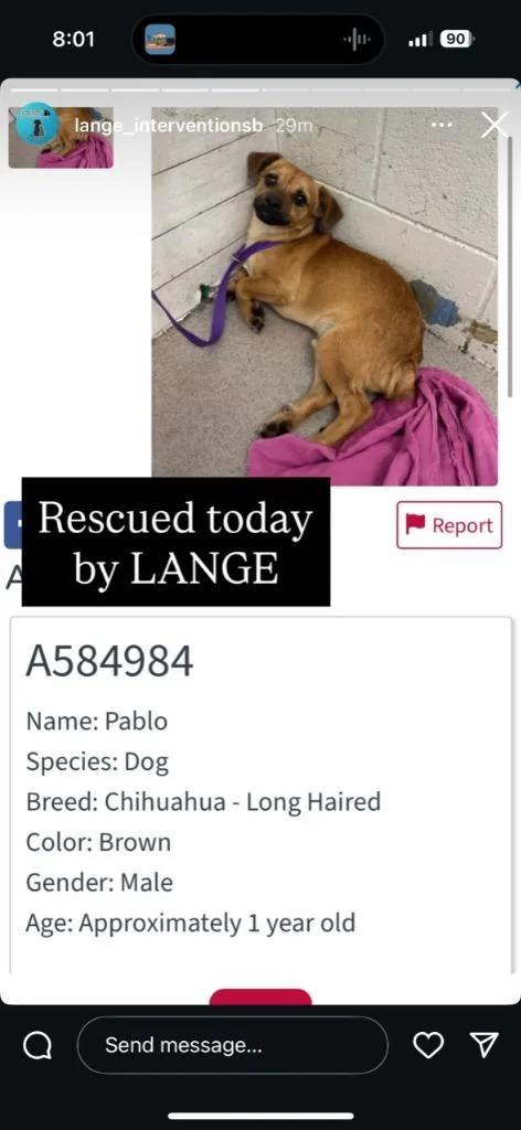 Pablo
